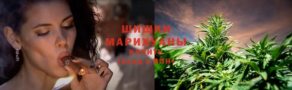дмт Россошь