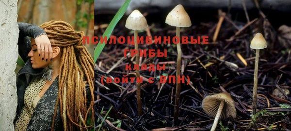 гидропоника Аркадак