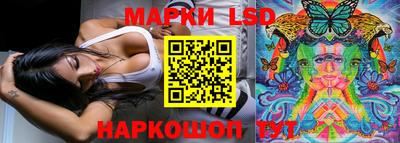 дмт Камышлов