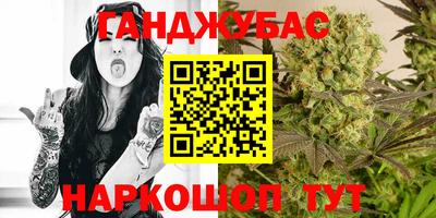 дмт Камышлов