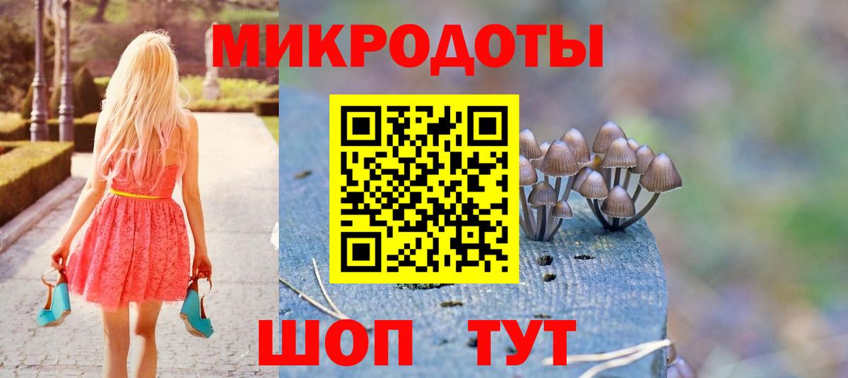 Псилоцибиновые грибы Cubensis Междуреченск