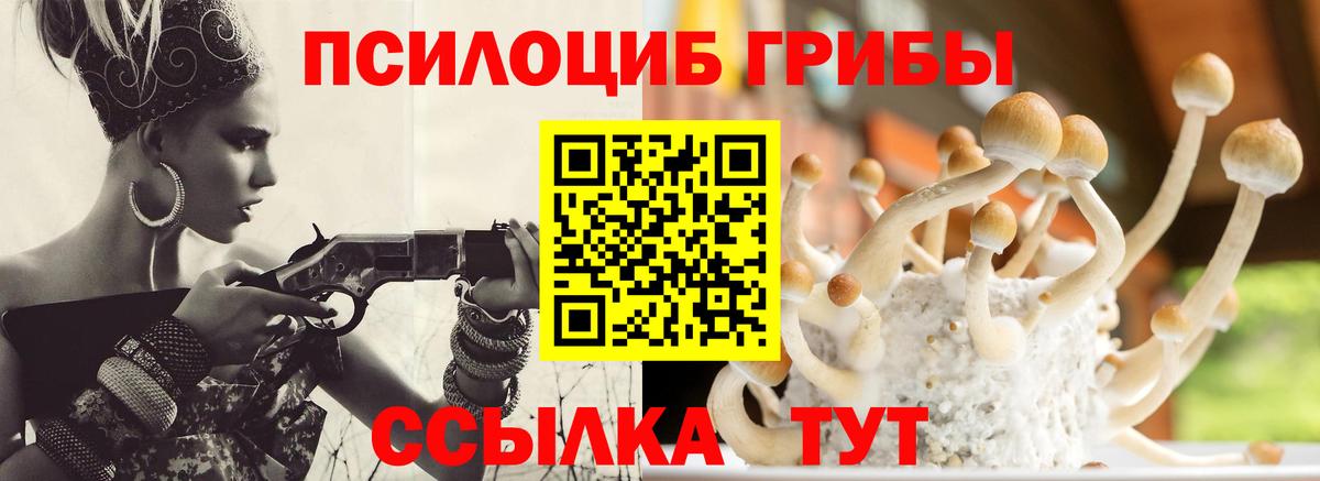 Псилоцибиновые грибы Magic Shrooms  Галлюциногенные грибы мухоморы  Вход с VPN  Междуреченск 